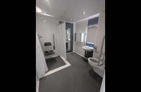 The inside of an accessible bathroom with a visible shower and shower chair, sink, mirror and toilet with supportive metal bar