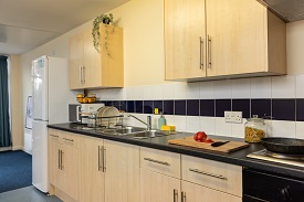 Wooden kitchen units that include a cooker, storage cupboards, sink with a drainer, microwave and a fridge freezer on the far left side.