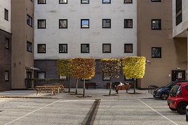 Outdoor courtyard that has small trees and benches. Car parking on the right hand side.