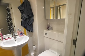 A bathroom with a toilet, a sink with a mirror over it, and a medicine cabinet with mirrored doors.