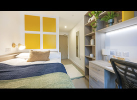 A modern student bedroom with a double bed, study desk, shelving, built-in storage and yellow accent wall panels.&rdquo;