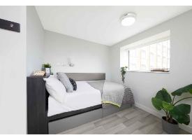 A modern bedroom with a single bed, under-bed storage, large window, wood-effect flooring and contemporary furnishing.