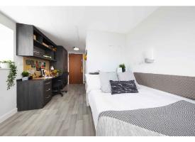 A modern room with a bed, integrated study desk, shelving, storage units and wood-effect flooring.