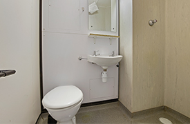 A wet-room style bathroom with a toilet, sink, mirror, and shower.