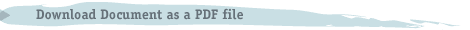 Download Document as pdf