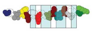 RBP-3 peptide in register B
