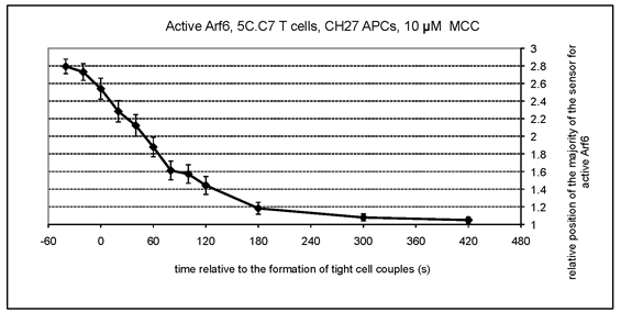 Image of Arf6