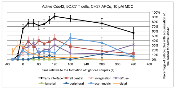 Image of Cdc42