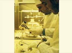 Scientists examine samples of moon rock
