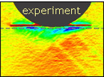 Picture of experimental response