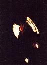 Fire photo 9