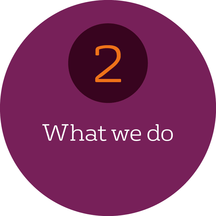 Button Graphic Clickable Section 2 What We Do 