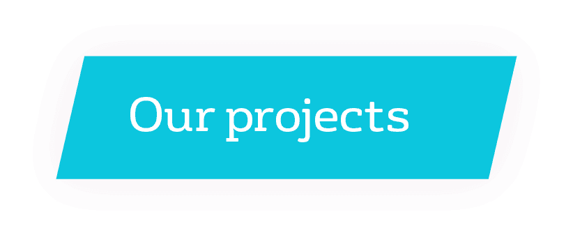 Our projects