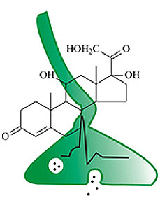 Drag-and-drop quiz illustration
