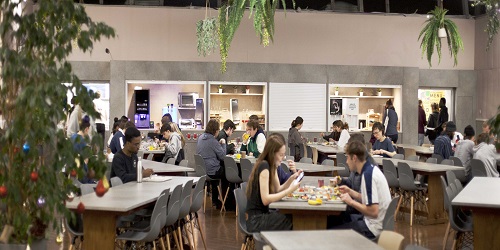 A busy dining hall with students sitting together and eating.