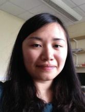 Dr Liyi Zheng