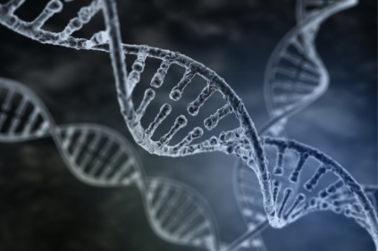 Genetic risk factors