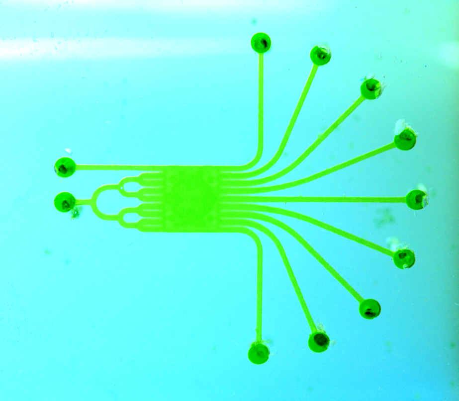 Robert Hughes' microfluidic device