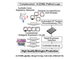 ACEMBL PIPELINE