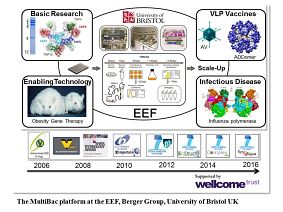EUKARYOTIC EXPRESSION FACILITY