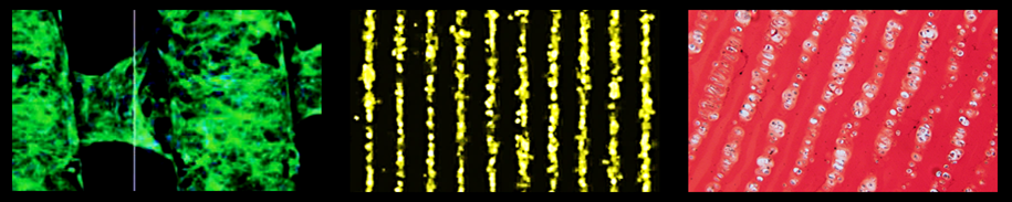 Three images from James' research