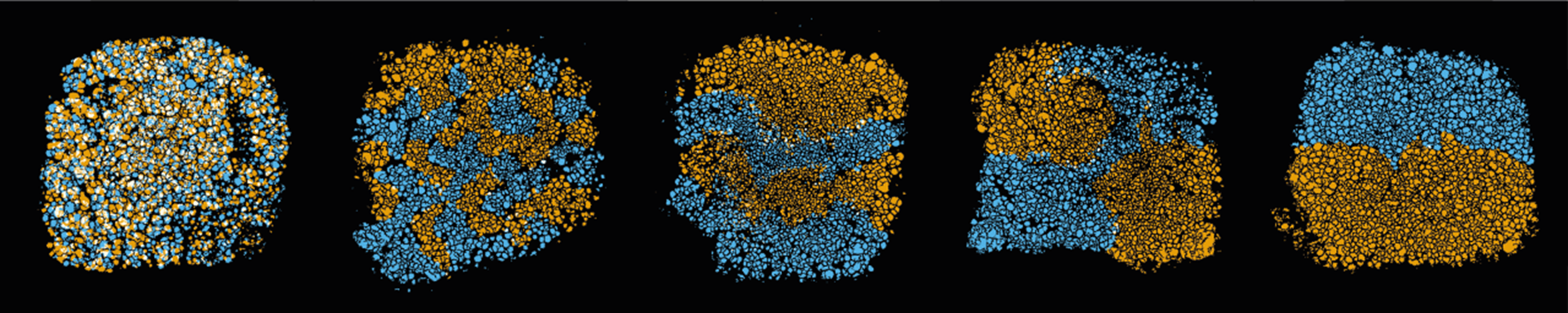 Five images from Ravinash's research