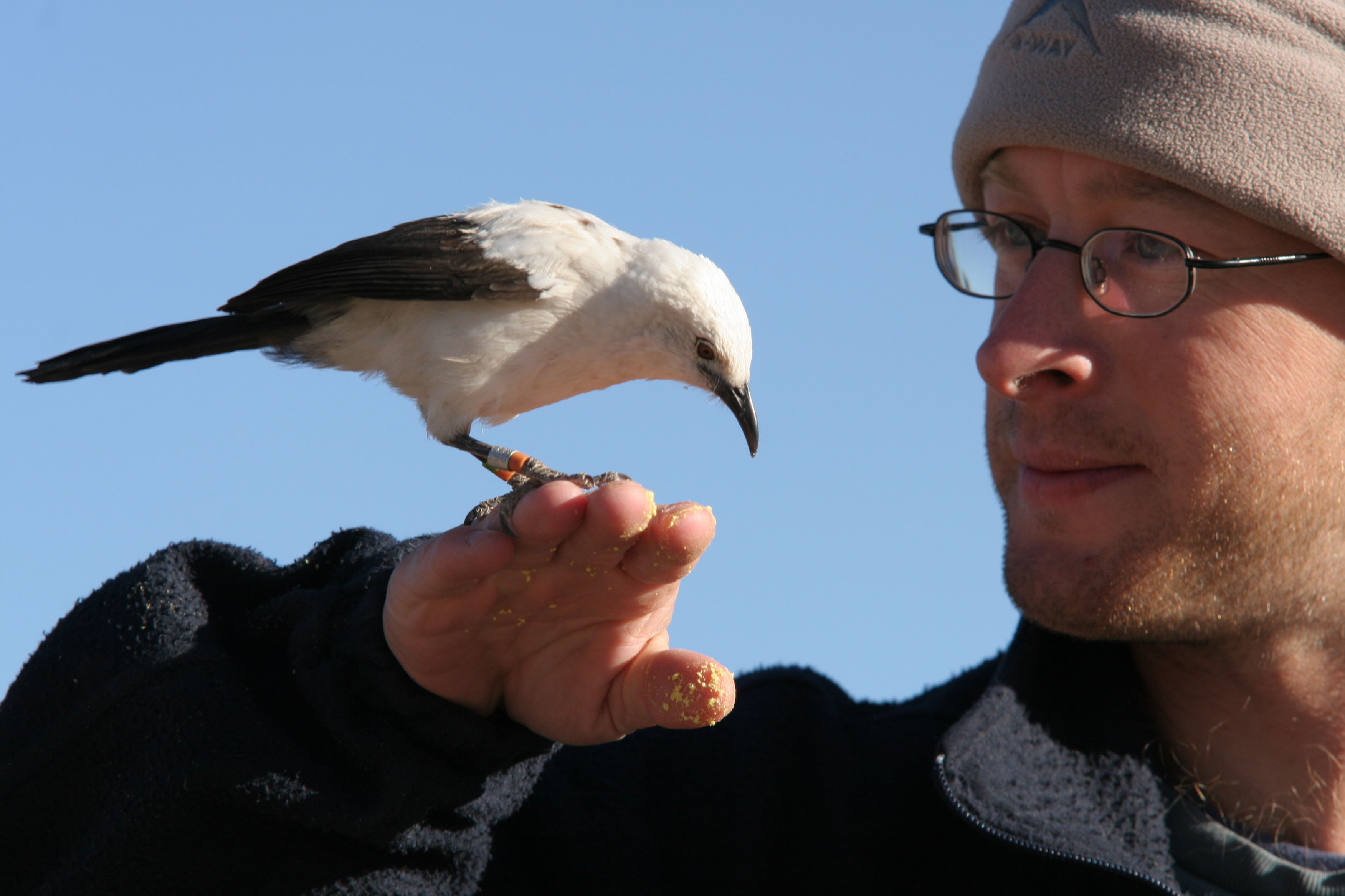 Andy Radford, Professor of Behavioural Ecology in the School of Biological Sciences