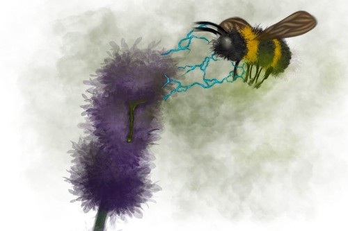 Artist’s impression of bumblebee interacting with flower