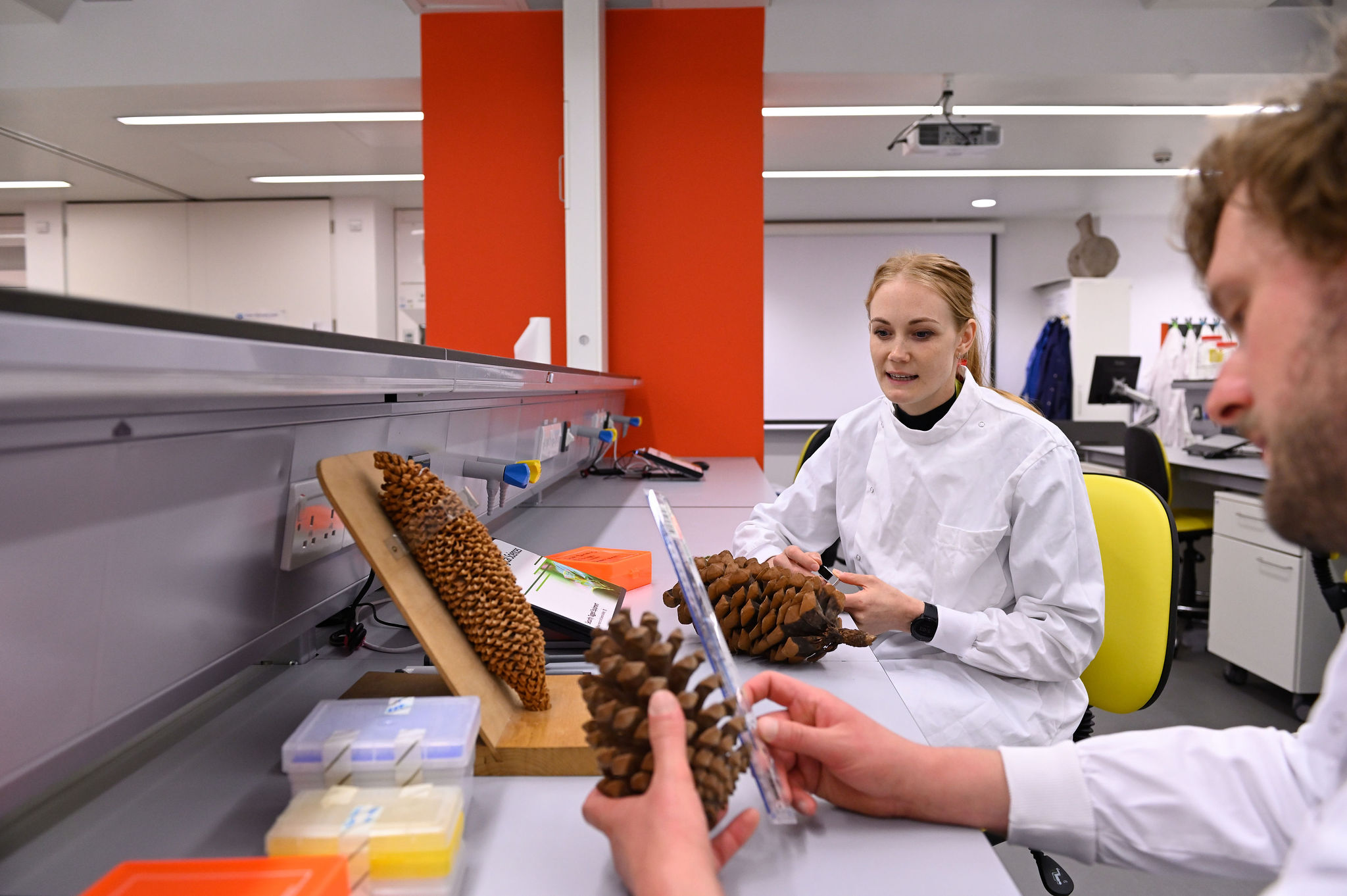 Two students examining pine cones in a lab