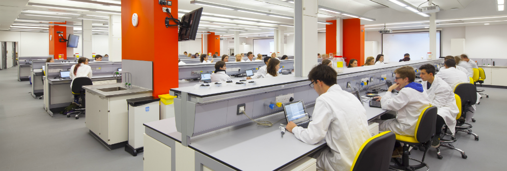 The LSB teaching lab with students in it during a lab session