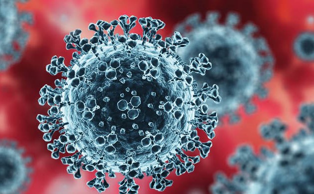 COVID19Virus