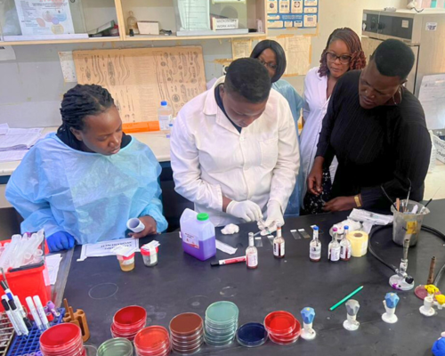 Researchers testing blood samples in a lab