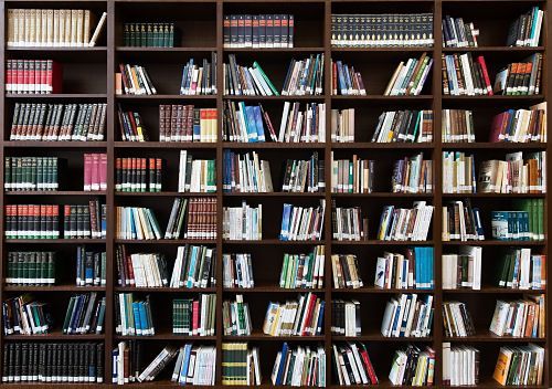 Bookshelf with books