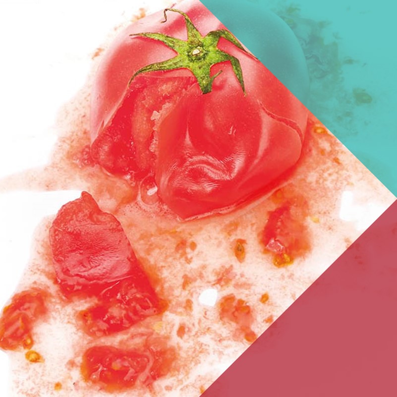 A photograph of a tomato smashed against a white surface