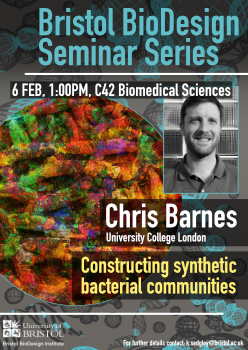 Constructing synthetic bacterial communities