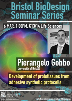 Pierangelo Gobbo talk