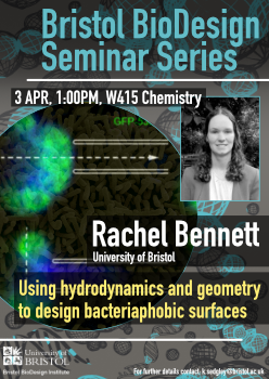 Using hydrodynamics and geometry to design bacteriaphobic surfaces