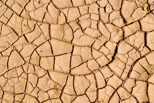 Drought