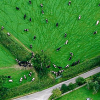 Picture of biodiversity on farmland