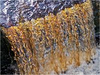 A picture of biogeochemical cycles