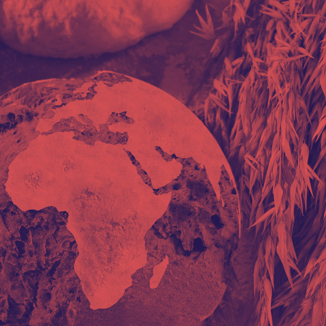 A loaf of bread shaped like a planet Earth with wheat lying alongside it. The image has been shaded red.