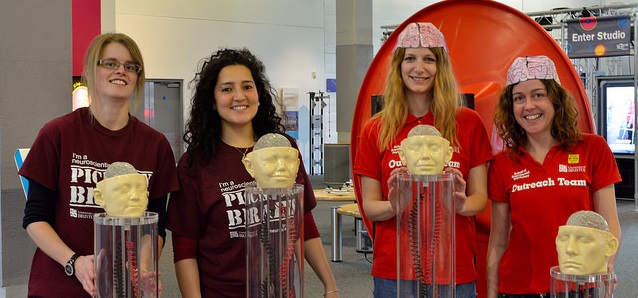 Four students show their displays of plastic models of the human brain at a public engagement event.
