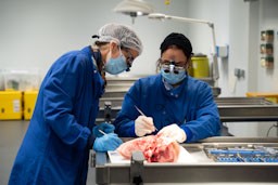 Periodontology Soft Tissue Course | Bristol Dental School | University ...
