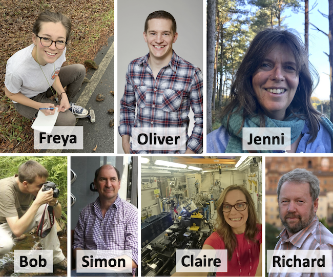 Current petrology staff