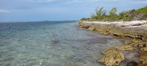Image of young carbonate (~1000 years old) island, Joulters Cay, in the Bahamas. Photo Credit: Miles Frazer