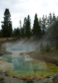 Yellowstone