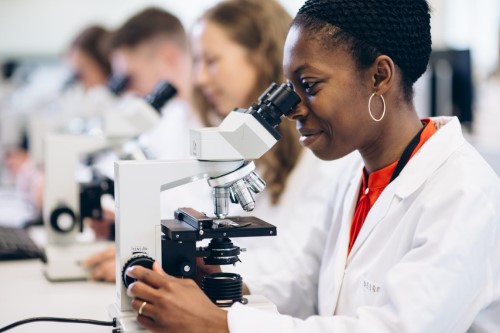 Student using a microscope