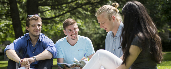 A group of students study outside