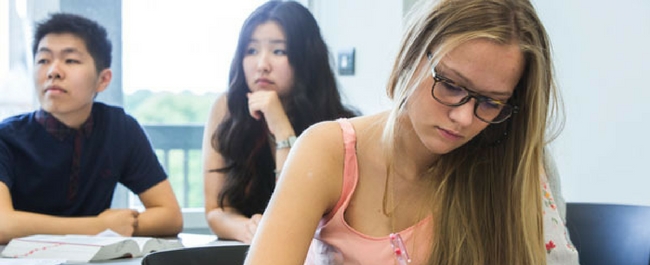 Students of different races and genders studying alone and in groups. 