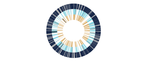 A schematic of three bacterial genomes after gene knockouts
